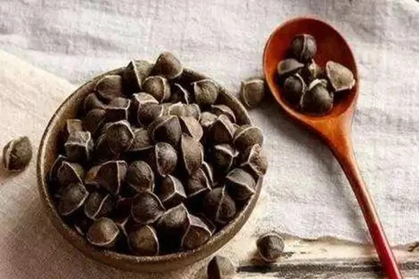 moringaseeds