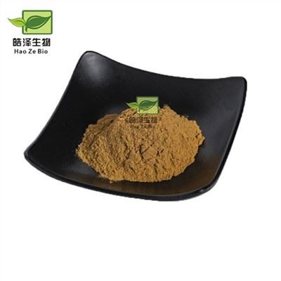 Polvere di estratto di Rhizoma Polygonati