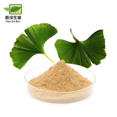 L'effetto e la funzione dell'estratto di ginkgo biloba