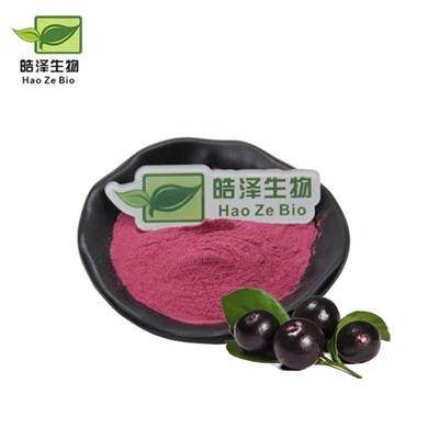 Polvere di bacche di acai brasiliana